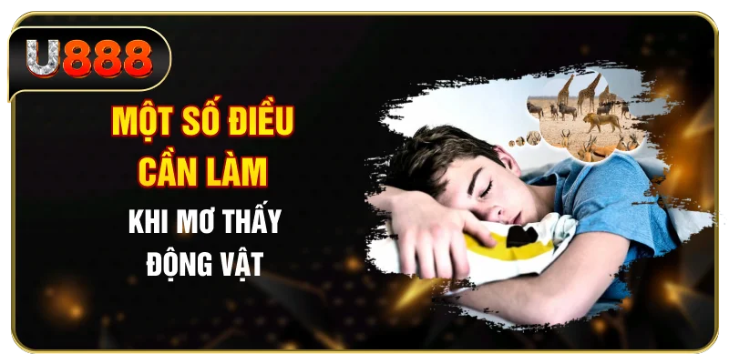 Một số điều cần làm khi mơ thấy động vật